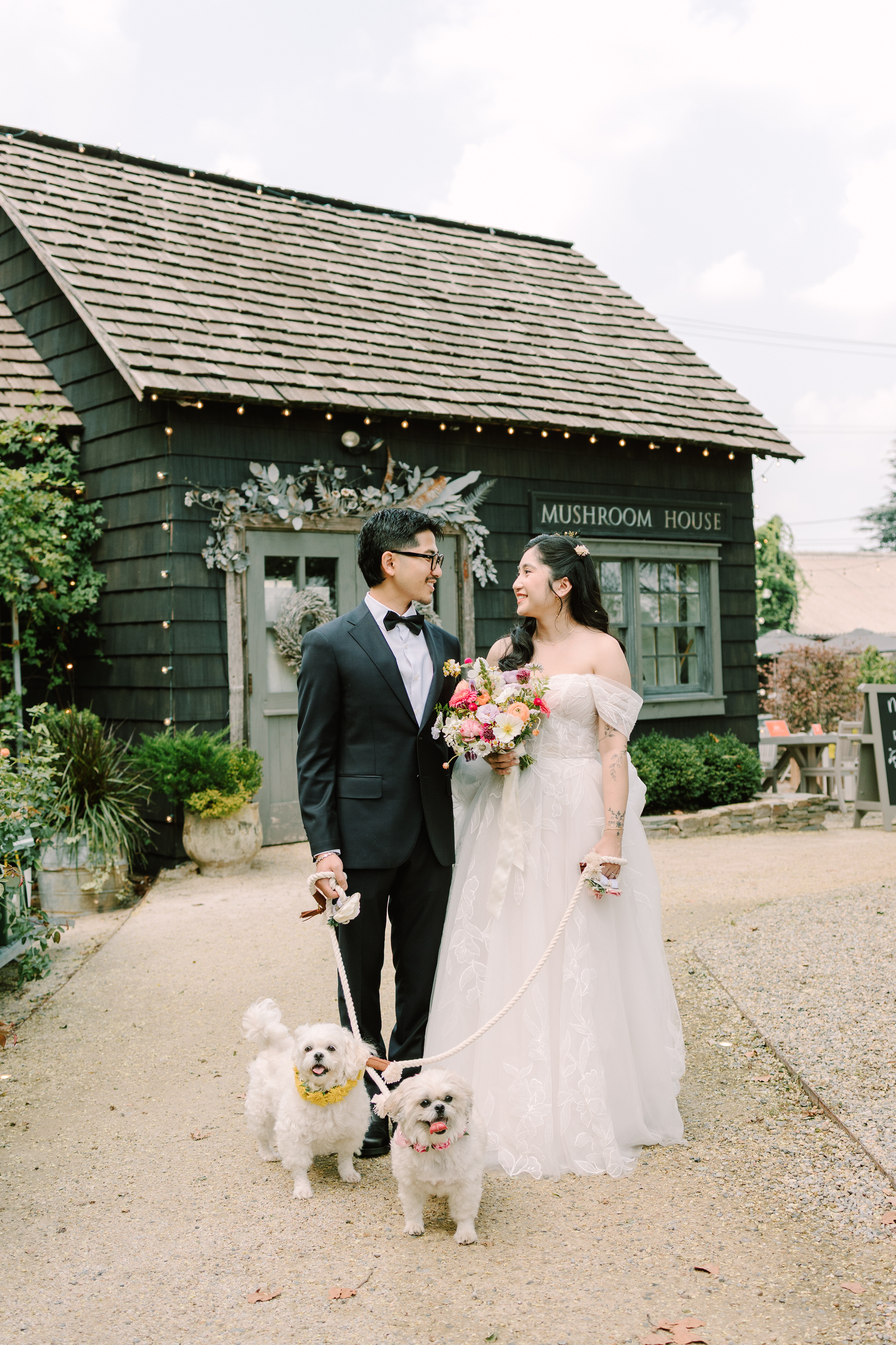 Sharyn Louise Photography portfolio image 46