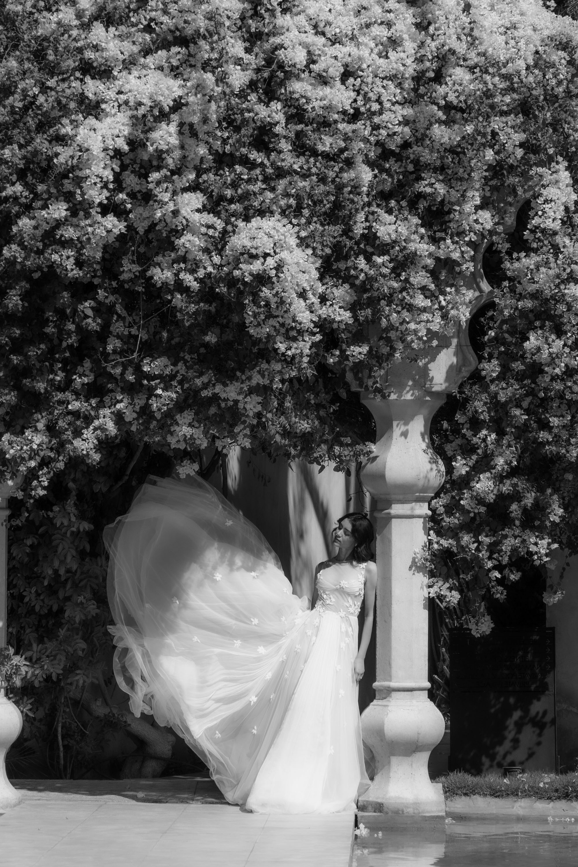 Young Plant Weddings portfolio image 18
