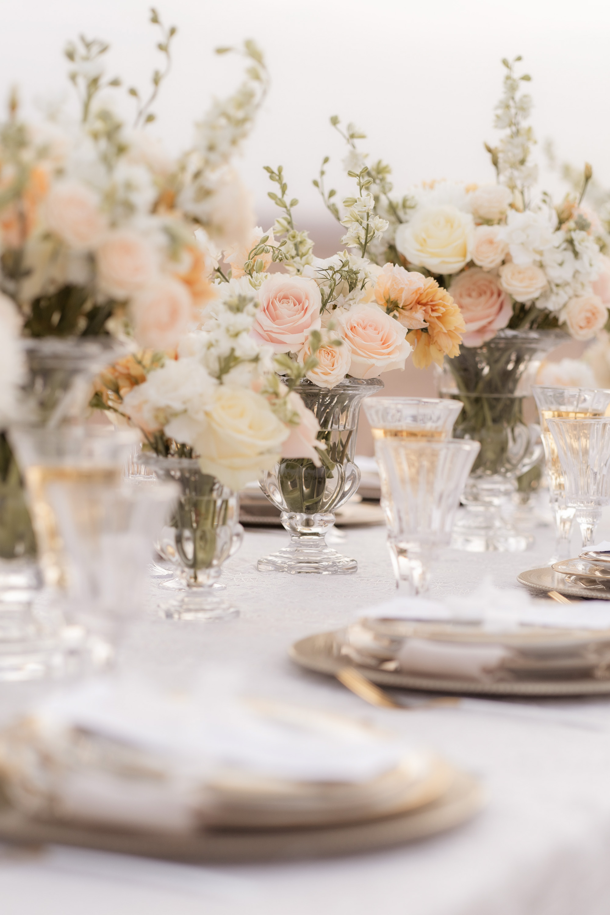 Young Plant Weddings portfolio image 28