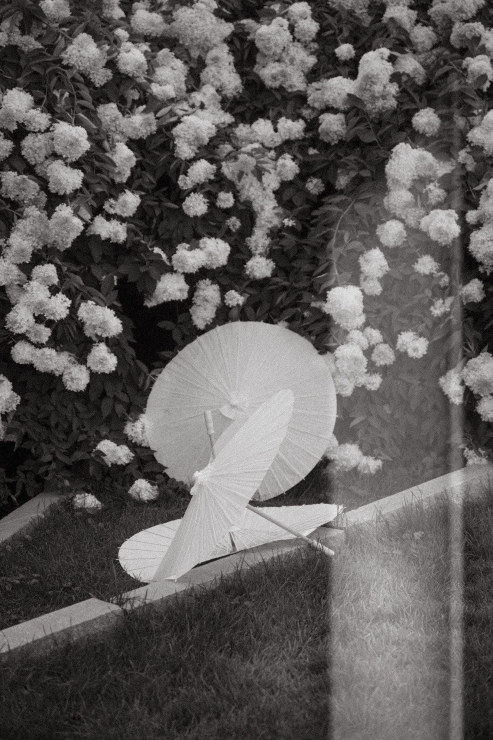 Connecticut Wedding Photographer | Claudia Melian Photography Gallery 2