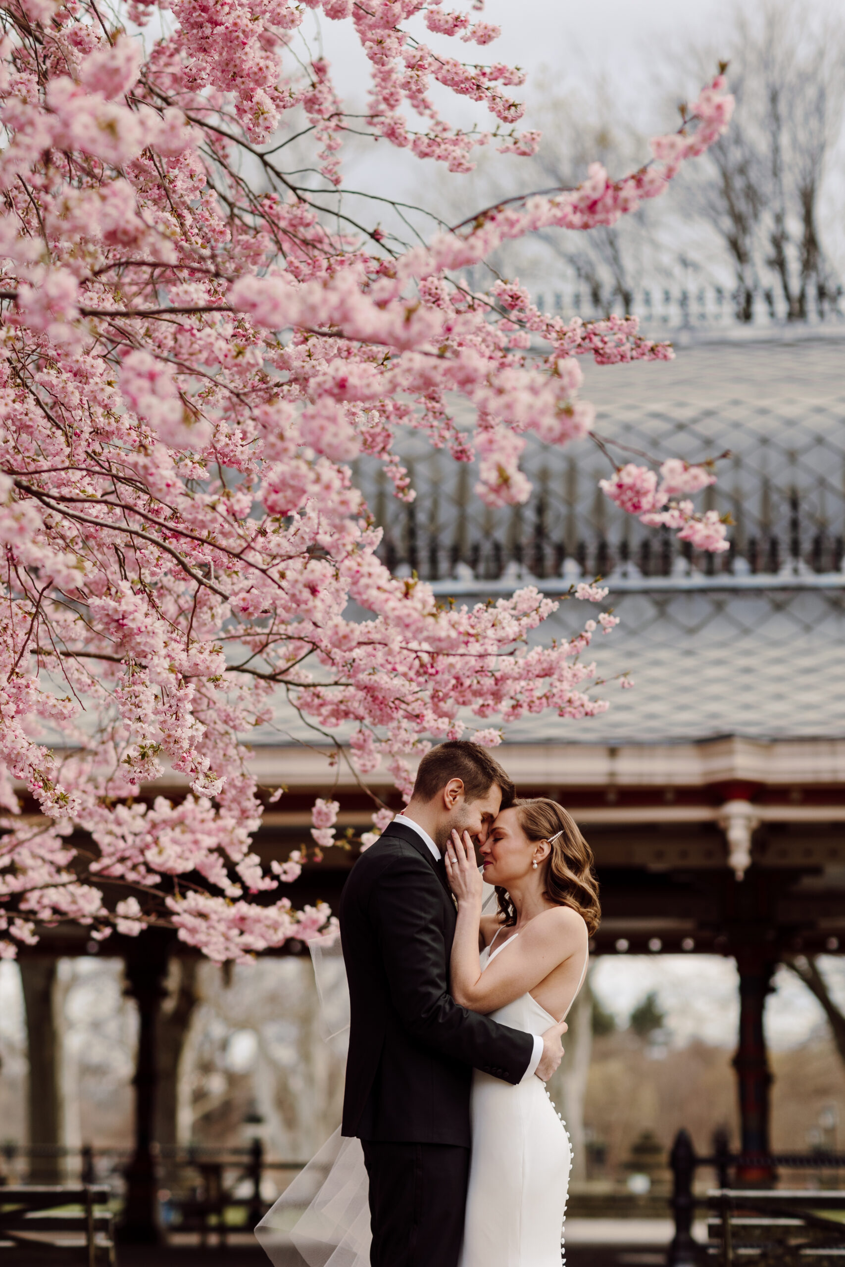 Wedding Photographer | Karen Orbist Gallery 2