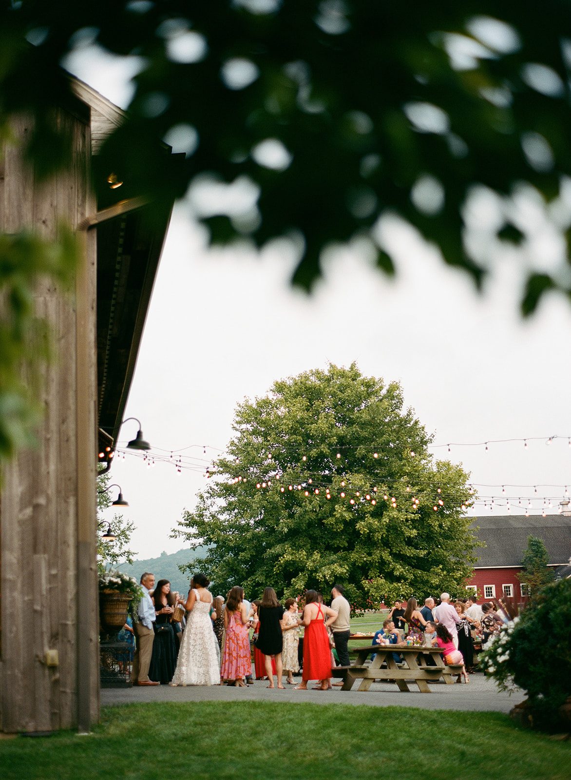New England Wedding Photographer | Madison Abbey Photography Gallery 11