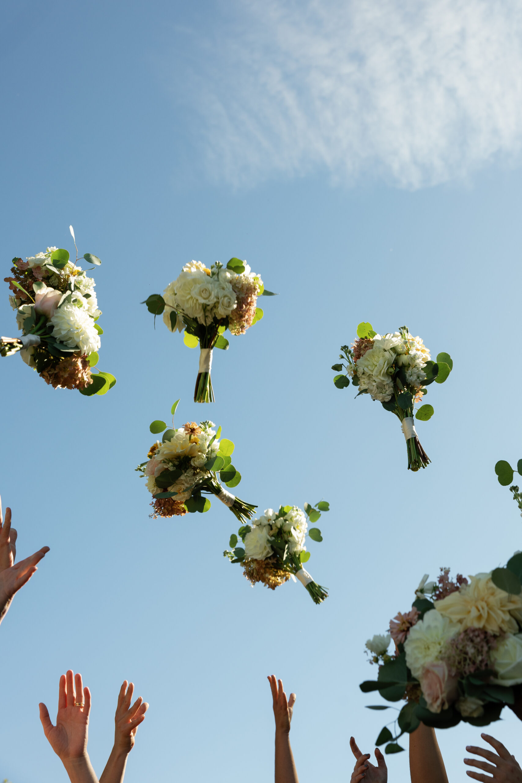 Pennsylvania Wedding Photographer | Nicole Katherine Photography Gallery 2